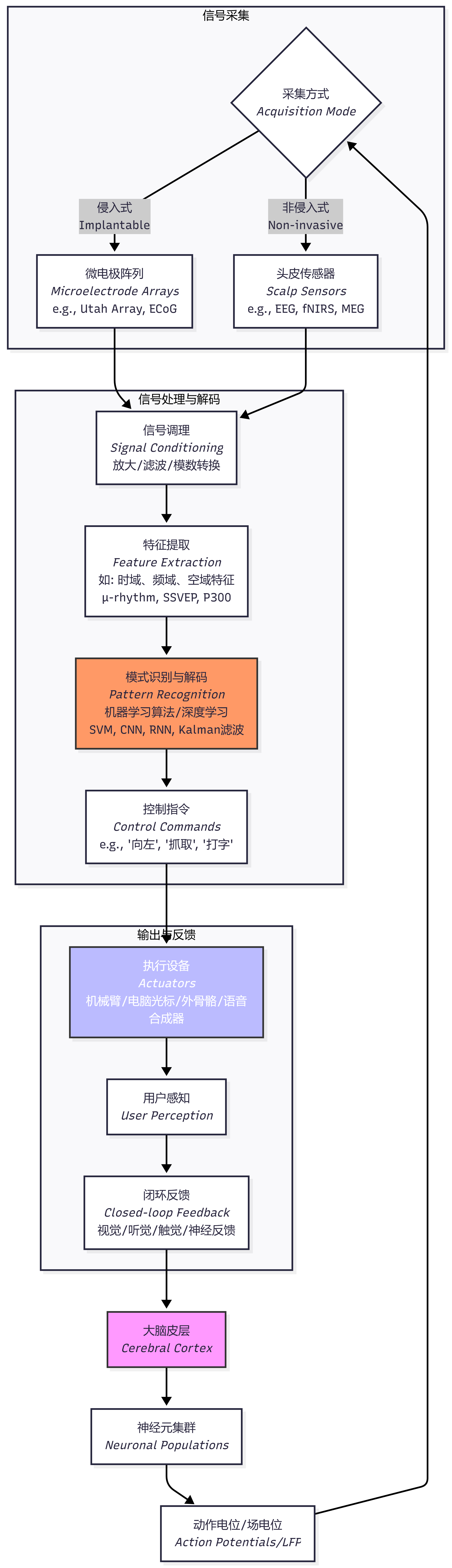 脑机接口原理图.png